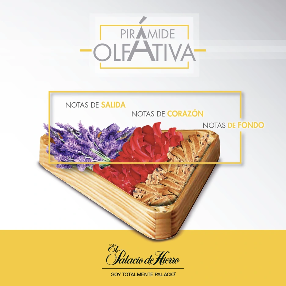 El Palacio de Hierro: Pirámide olfativa